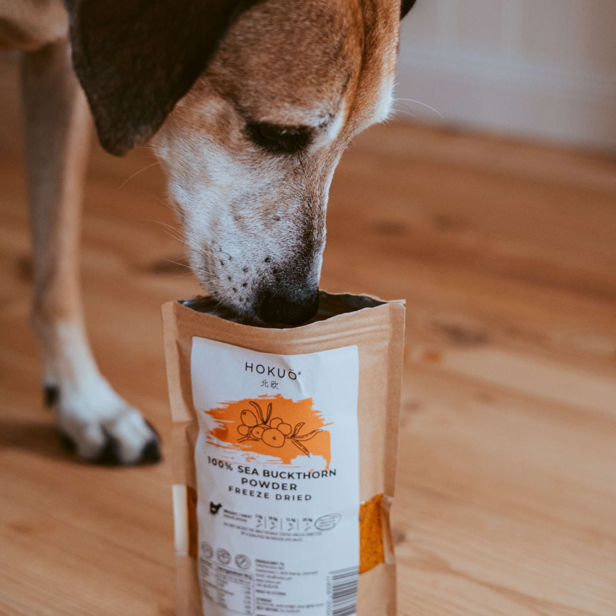 Hokuō® vriesgedroogde duindoorn voor hond - KwispelKado