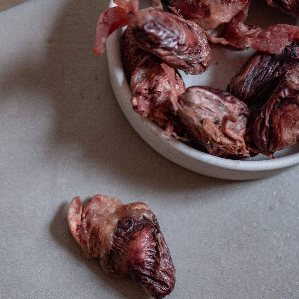 Hokuō® vriesgedroogde eendenharten voor hond - KwispelKado