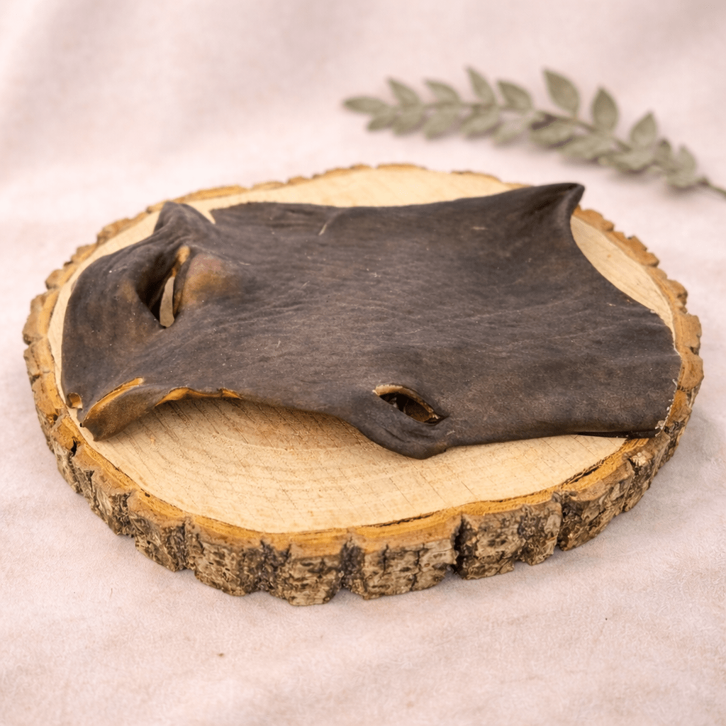 Kameelhuid plaat XL - KwispelKado