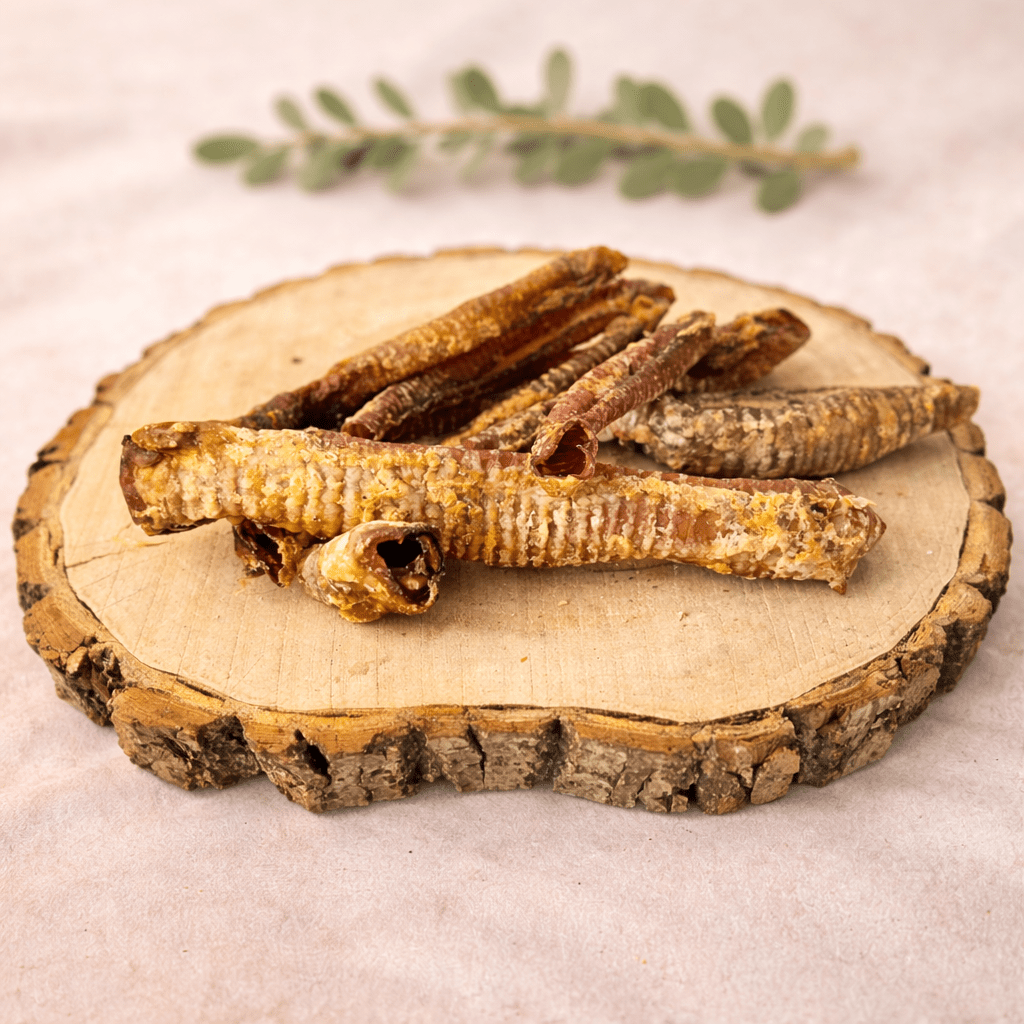 Lamsluchtpijp - KwispelKado