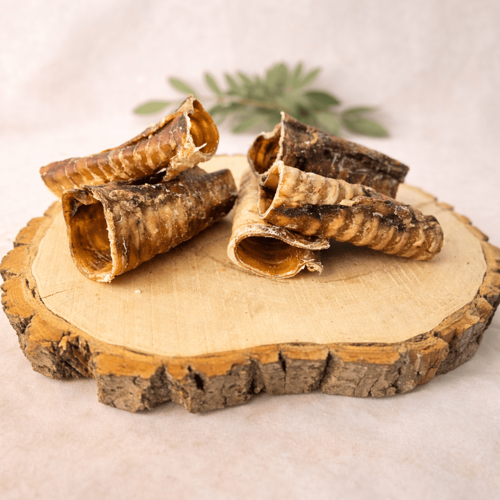 Runderluchtpijp - KwispelKado