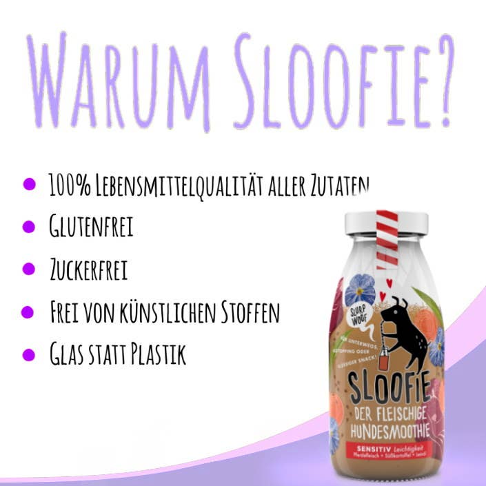 Sloofie de Hondensmoothie - Paard - KwispelKado