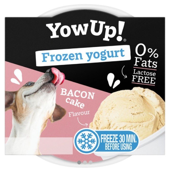 Yow Up Frozen Yoghurt - Bacon Cake - KwispelKado