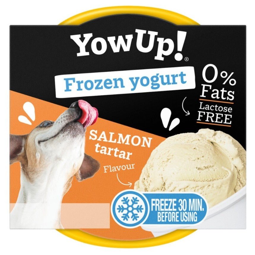 Yow Up! Frozen Yoghurt - Salmon Tartar - KwispelKado